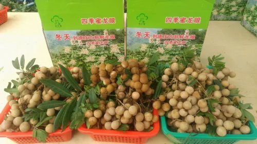 肇慶被確定為國家農產品質量安全市創建單位，躍居全省第三